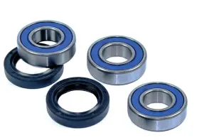 Aftermarket 643307150926 Yamaha Ttr250 Rear Wheel Bearing And Seal Kit 1999-2006