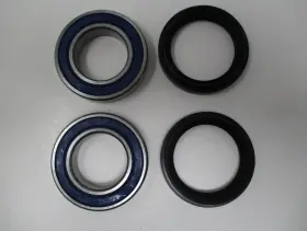 0215-0162 All Balls Yamaha Raptor Rear Wheel Bearing And Seal Kit Moose Racing