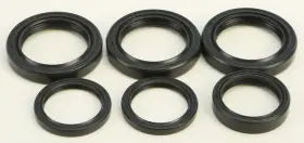 25-2065-5 All Balls Differential Seal Only Kit Front #25-2065-5 Polaris