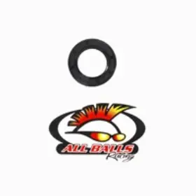 30-4803 All Balls Double Lipped Seal