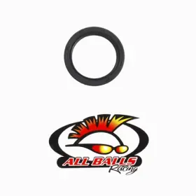 30-5808 All Balls Double Lipped Seal