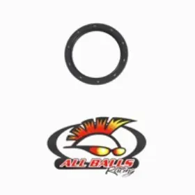 30-6218 All Balls Double Lipped Seal