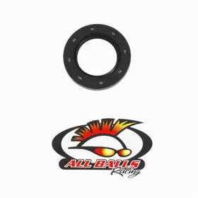 30-6507 All Balls Double Lipped Seal