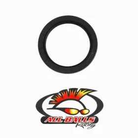 30-8801 All Balls Double Ribbed Seal