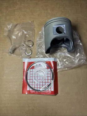 3006-921 Arctic Cat Oem Single Piston Kit P#