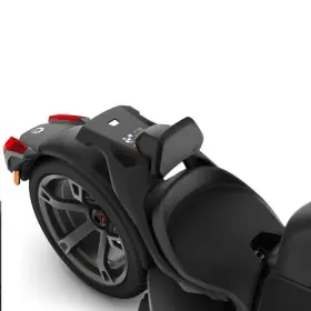 219400960 Can-am 1-up Driver Backrest