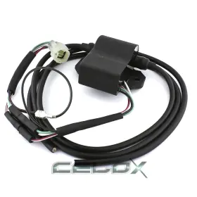 Dv1595cd166gm Celox Cdi Ignition Module For Ski-doo Skandic Ii 377 377r 503r Slt 1992-1993