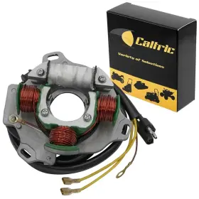 Ts2346st376mg Celox Stator For Polaris Sport 400l 1994 1996 1997 400 1998 1999 Magneto