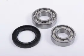 373016 Commander Bearing And Seal Kit Trek