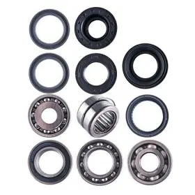 Dk607.01 East Lake Axle Honda Rear Differential Bearing And Seal Kit Trx 400 450 Foreman 1995 1996 -2001