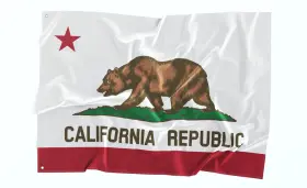 133smp Highviz Flag Co Passenger Small Single Side Universal California State Whip