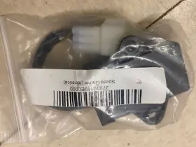 37910119e0000 Hisun Motors Corp Usa Speed Limiter