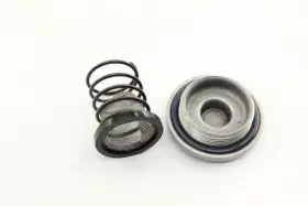 P002000111070100 Hiusn 2021 Axis 750 Drain Plug Spring Filter And Strainer