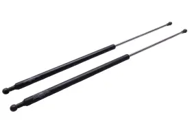 1cu350748bb0311 International Gas Springs Inc. Spring Set