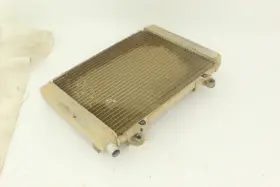 39060-0011 Kawasaki 2006 Brute Force 650 Radiator Assy