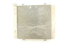 39061-0127 Kawasaki 2008 Teryx 750 Radiator Assy