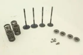 3022415 Polaris 2015 Rzr 900 Exhaust Intake Valves Springs Retainer Kit