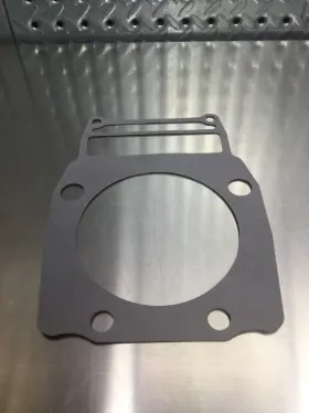 3084851 Polaris 3085370 Cylinder Gasket 3089966 T374