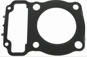 3087238 Polaris Gasket Head Oem New