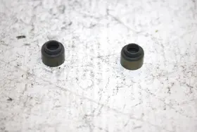 3087946 Polaris 2006 Predator 500 Oem Valve Seal Set Ap63
