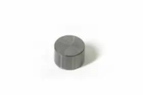 5139458-382 Polaris Oem Graded Valve Tappet 3.825