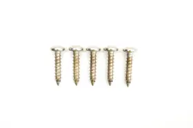 7511882 Polaris Oem S.s. Screw Qty 5 Nos