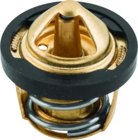403168 Quadboss Thermostat Fits Polaris Xplorer 500 And Workhorse Models