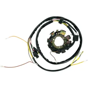 21-553 Ricks Motorsport Electric Stator For Polaris -
