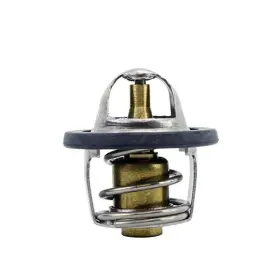 Rm17202 Rmstator Thermostat