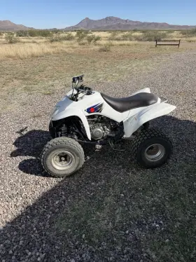 00806 Suzuki 07 Ltz 250