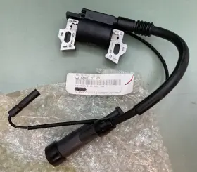 Qj168qdj.11.03 Trailmaster New Replaces Ignition Coil