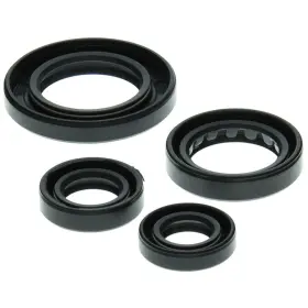 2219-w145016-atv Winderosa Vertex Oil Seal Kit For 1997-2001 Honda Trx250tm Fourtrax Recon Atv