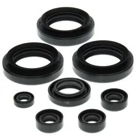 2221-w145020-atv Winderosa Vertex Oil Seal Kit For 1999-2002 Suzuki Lt-f300f Kingquad 4x4 Atv