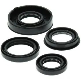 3800-w256178-atv Winderosa Vertex Oil Seal Kit For 2001-2002 Polaris Scrambler 90 Atv