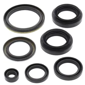 8789-w446156-atv Winderosa Vertex Oil Seal Kit For 2014 Suzuki Lt-a400f Kingquad Asi Le Atv