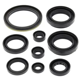 8836-w302250-atv Winderosa Vertex Oil Seal Kit For 2002-2007 Suzuki Lt-a500f Vinson 500 4x4 Auto Atv