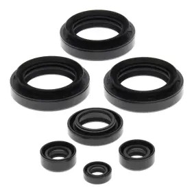 9150-w230878-atv Winderosa Vertex Oil Seal Kit For 1999-2005 Arctic Cat 250 2x4 Atv