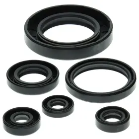 9158-w230894-atv Winderosa Vertex Oil Seal Kit For 2002-2005 Bombardier Traxter 500 Xl Atv