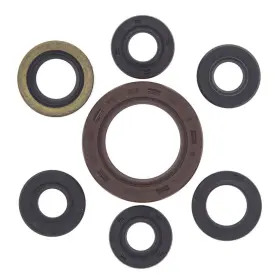 9163-w230904-atv Winderosa Vertex Oil Seal Kit For 2004-2008 Arctic Cat Dvx 400 Atv