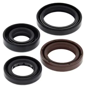 9169-w230916-atv Winderosa Vertex Oil Seal Kit For 2007-2013 Polaris Sportsman 90 Atv