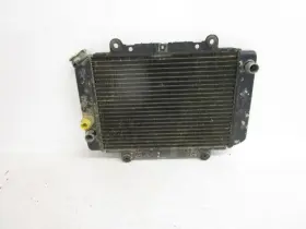 5gh-12461-10-00 Yamaha 01 Kodiak 400 Radiator 2000-2002