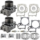 Niche Cylinder Piston Gasket Kit For Kawasaki Prairie KFX700 2 Pack New. Price: $244.95.