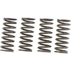 Ebc Csk Clutch Spring Kit Honda TRX420FE1 Rancher 4X4 Es Sra Atv (2014-2015) New. Price: $18.32.