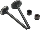 Cylinder Head Intake Exhaust Valves Kit For Yamaha TTR125 125E 125LE 20-18 New. Price: $11.49.