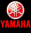 Brand New Oem Yamaha Nut 90179-16003-00. Price: $12.00.
