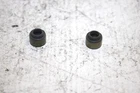 2006 Polaris Predator 500 Oem Valve Seal (set) 3087946 AP63 Used. Price: $15.99.