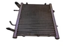 06 Arctic Cat 400 4X4 Auto Irs Radiator Used. Price: $299.98.
