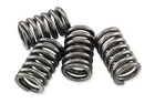 Ebc CSK136 Clutch Spring Kit New. Price: $17.04.