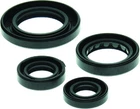 Quadboss Qbs Seal Kits 564348 New. Price: $26.99.