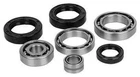 Balls 25-2008-5 Differential Seal Kit Honda ATC250ES 1985 87 Rear 132309 New. Price: $25.13.